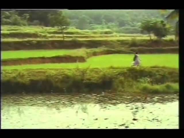 Kurunnu Thaamarakkuruvi