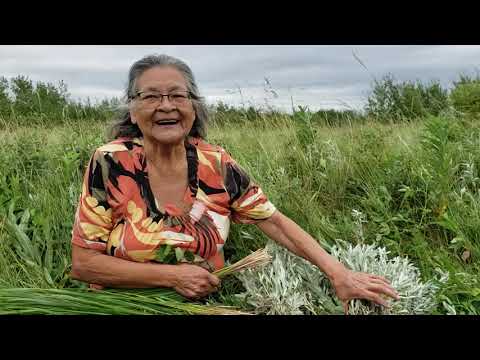 Elder Yvonne Carter (Yellow Moon Woman) Picking Sage & Sweet Grass with teachings.