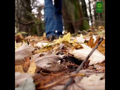 Le Grand Sentier de Mlaga. Automne est ici