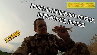 Отчет о рыбалке нарские пруды 2020