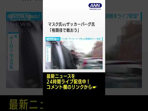 イーロン・マスク氏:2025年までの「来年」についての最も奇妙な予測