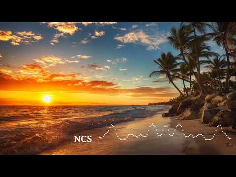 die 4 u (feat. damnboy!)if found, nøll, damnboy(NCS release)