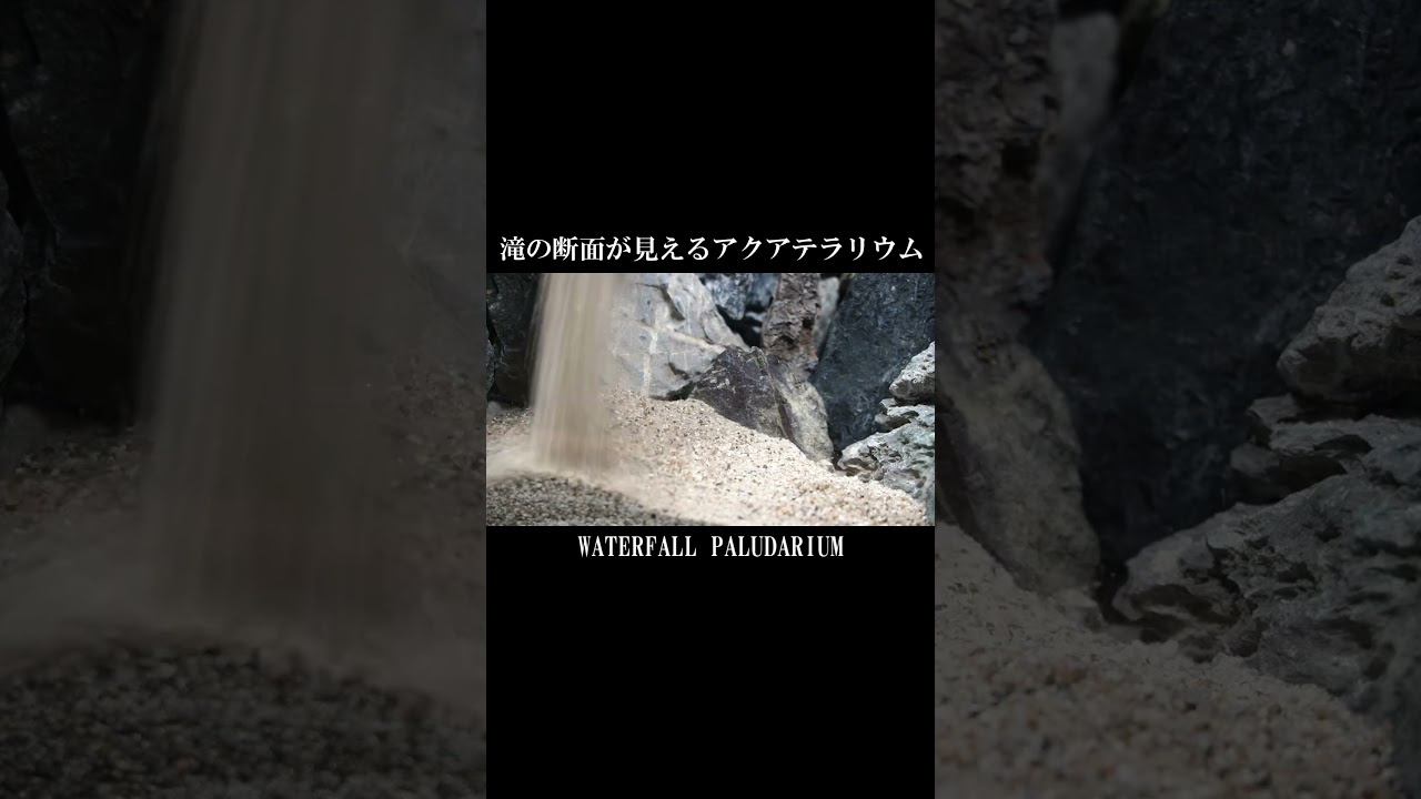 滝の断面が見えるアクアリウム水槽を作る #アクアテラリウム #アクアリウム
