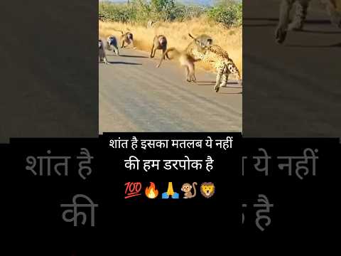 खतरनाक लड़ाई 🔥 #shorts #trending #animals