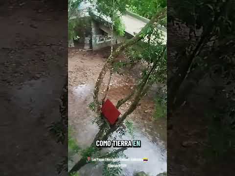 📍 Las Pavas | Norcasia | Caldas | Colombia 🇨🇴