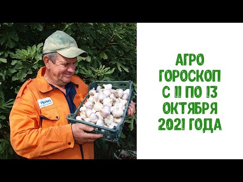 , title : 'Агрогороскоп с 11 по 13 октября 2021 года ПЛЮС'