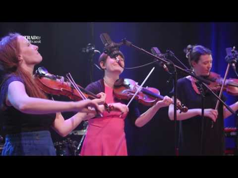 RANT perform "Wha'll Dance Wi Wattie" live at the Tolbooth