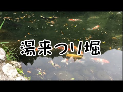 ¡Enamórate del encanto de los pozos de pesca! ! Puedes ir con las manos vacías a Yuki Tsurihori. [Yukicho, barrio Saeki, ciudad de Hiroshima] #2
