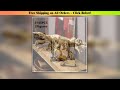 Creative Series 3145pcs100cm Dinosaur Bone Tyrannosaurus Fossil Model Building Blocks Home