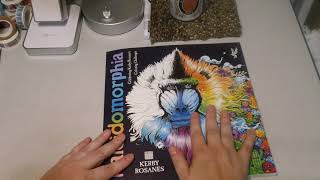 Amazon Haul for November 2021, Coloring & Planners