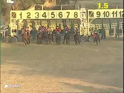 Glory awaits with arman ali jafri up wins THE ADOLESCENTS PLATE Div 3