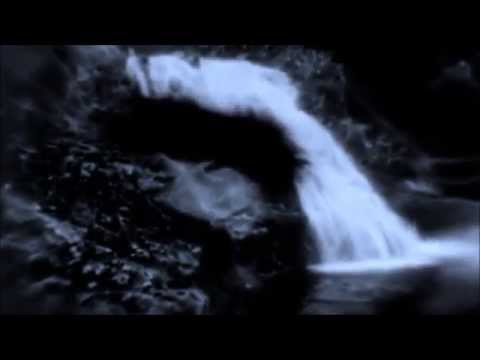 Björk - Hidden Place (Andersen & Borelli Mix)Music Video