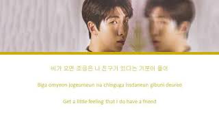 BTS RM - &#39;Forever Rain&#39; LYRICS [Color Coded Eng/Rom/Han]