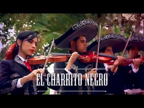 En Tu Cumpleaños video