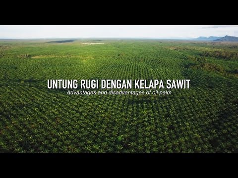 download lagu mp3 mp4 Perkebunan Kelapa Sawit, download lagu Perkebunan Kelapa Sawit gratis, unduh video klip Perkebunan Kelapa Sawit