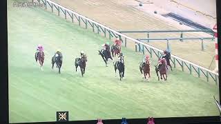 【フリーター競馬実況】2025 共同通信杯 マスカレードボール（坂井瑠星）