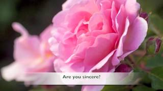 Are You Sincere - Elvis Presley