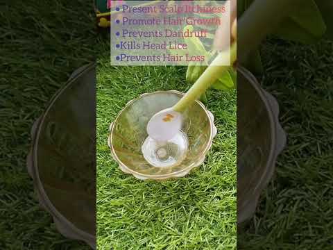 💯🔥 Camphor Oil For Dandruff Problem#shorts#dandruff#haircare#hairfall#hairgrowth#hairgrowthoil#hack