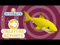 Octonauts Creature Report Lemon Sharks