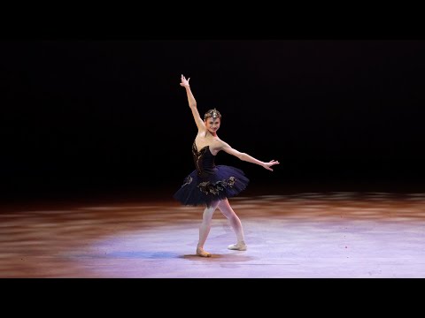 Swan Lake: Odile/Black Swan solo