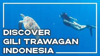 Why Should You Should Visit Gili Trawangan? Gili T Vlog 🌴 (Inc Heaps Of Turtles!)