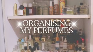 Perfume Collection Organisation: His/Her