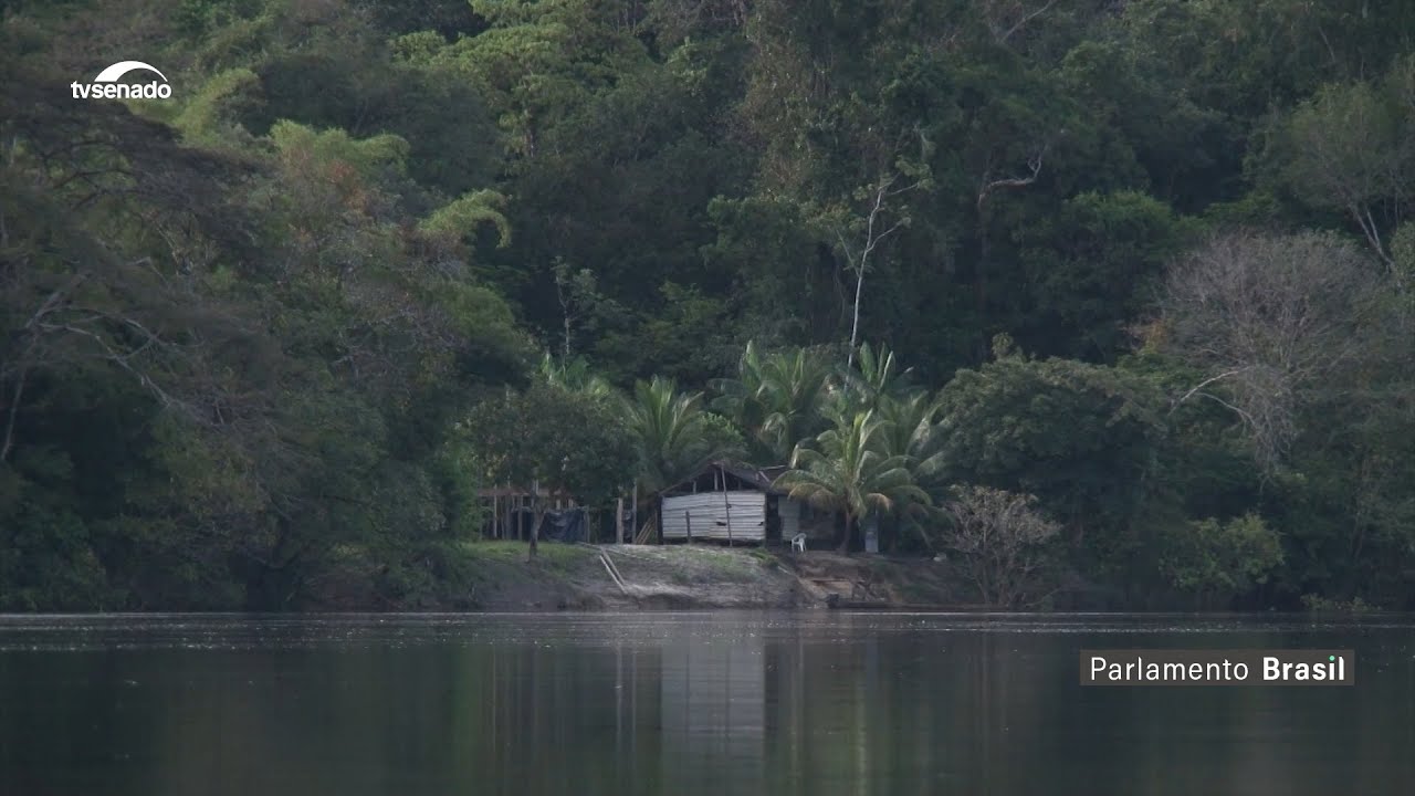 Taxonomia Verde: o urgente debate sobre como classificar empresas quanto ao impacto ambiental