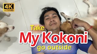 Download lagu Time to take my Kokoni go outside mp3 Download lagu Time to take my Kokoni go outside mp3