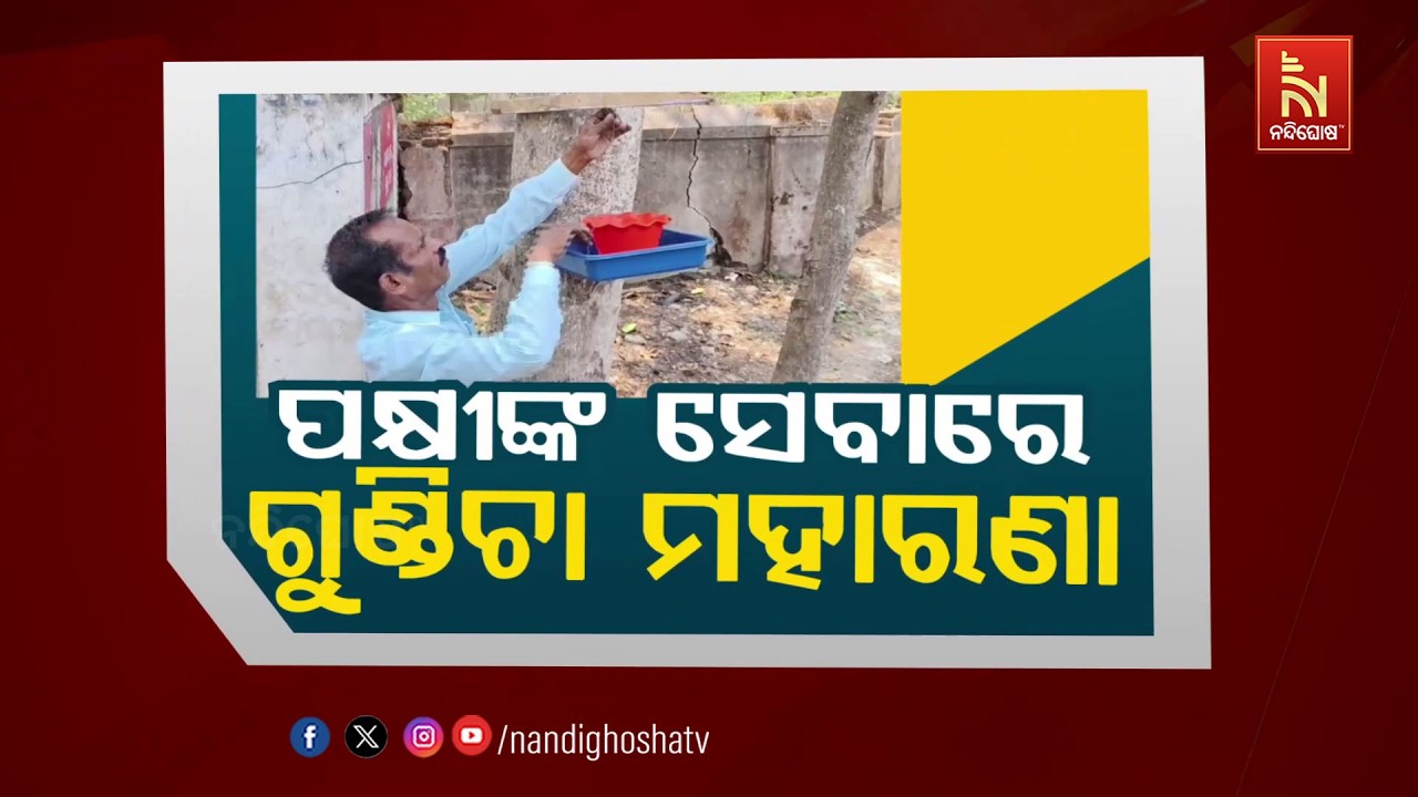 🔴Live | ପକ୍ଷୀଙ୍କ ସେବାରେ ଗୁଣ୍ଡିଚା ମହାରଣା