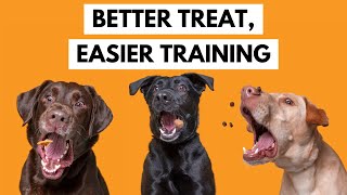 How to Choose YOUR Dogs FAVOURITE Training Treat
