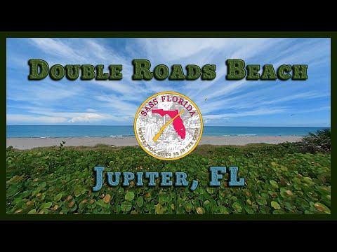 Jupiter Beach - August 2022
