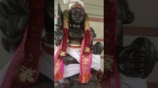 Download lagu engal appa amma🙏 engal Kula Deivam🙏 mp3 Download lagu engal appa amma🙏 engal Kula Deivam🙏 mp3