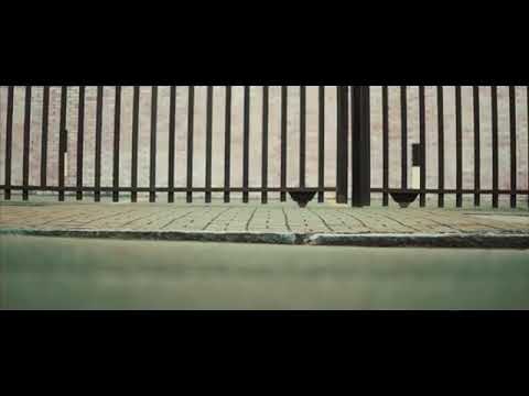 Bin - faixa rosa                  ( repro.trap de cria)