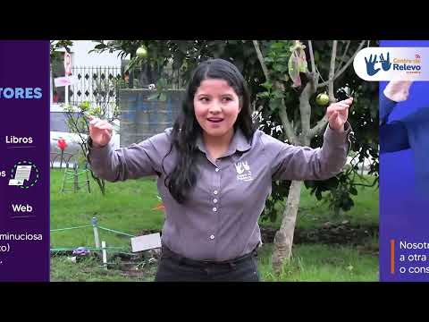 ¿Conoces la diferencia entre los intérpretes y traductores?