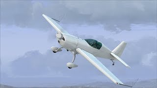 FSX Review. Extra 300s