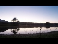 Orlando Florida Sunrise