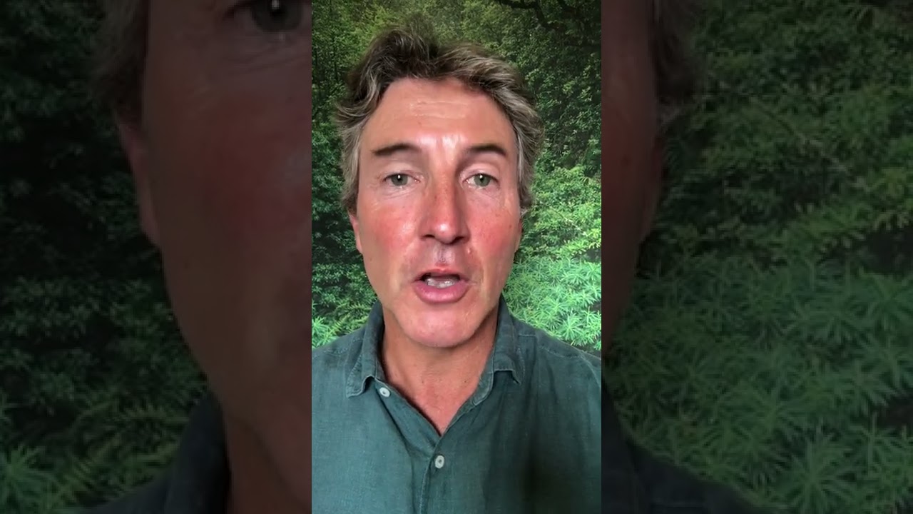 40 Words Websummit Greener Act