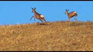 Рыбалка в краснокаменск забайкальский край карта
