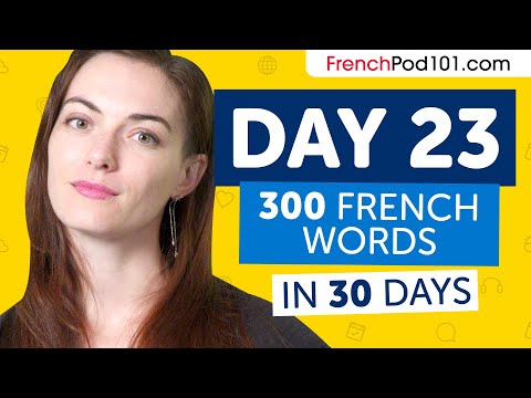 Day 23: 230/300 | Learn 300 French Words in 30 Days Challenge