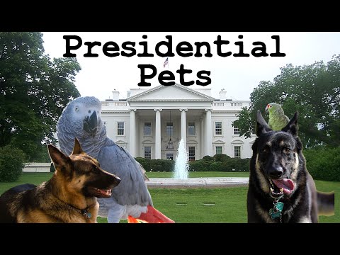 Presidential Pets: the History of Pets in the White House - FreeSchool Presents: Hilarious History