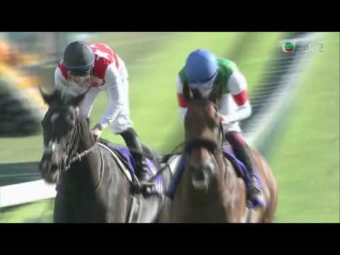 2021 Satsuki Sho (Japanese 2000 Guineas) G1 - Efforia (樂透心) - T.Yokoyama