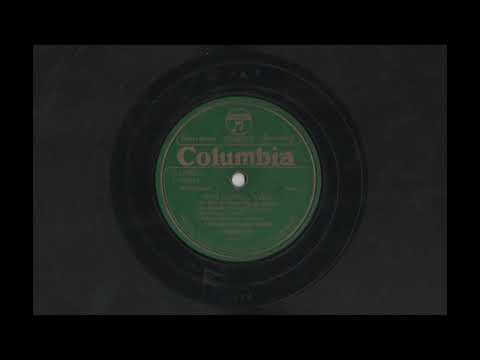 Fisher's Dance Orchestra - Blue Danube Waltz , Columbia 59037-F (205538)