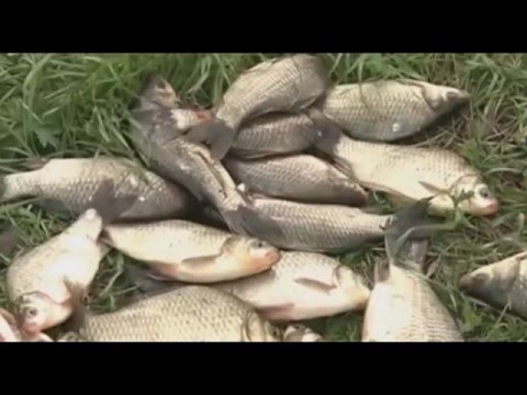  ����� ������ ����� �������� 