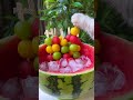 Meow Super Huge Watermelon Sago Dessert ASMR Summer Drinks Cat Cooking TikTok Shorts
