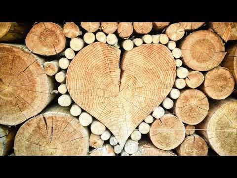 Ferienhaus Hofswald in Alleinlage, Kamin, großer umzäunter Garten, WLAN in Euscheid (Eifel) uvm