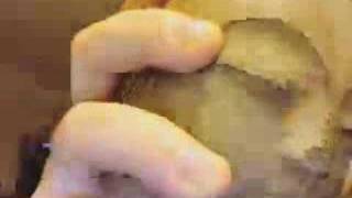 Company Flow &quot;Patriotism&quot;