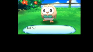 ポケモンウルトラサンムーン初期の御三家色違い出るまで