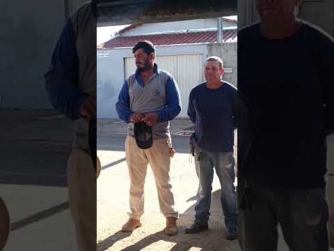 PASTORAL DA MORADIA DE GAMELEIRA GOIÁS.