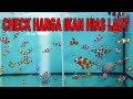 Jual Ikan Hias Air Laut Solo