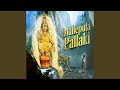 Mallepula Pallaki Ayyappa